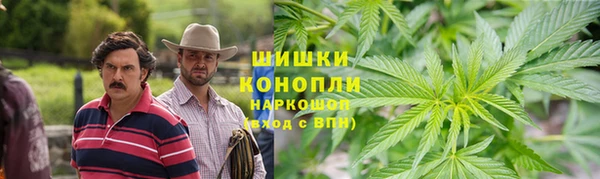 шишки Алексин