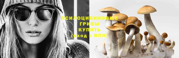 шишки Алексин