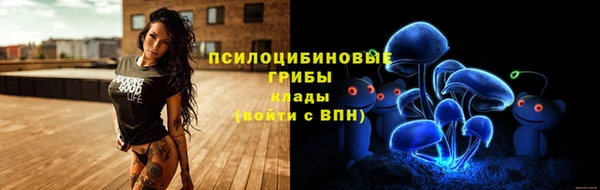 бутират Алексеевка