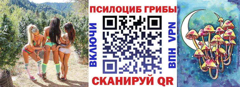 Галлюциногенные грибы ЛСД  Мостовской 